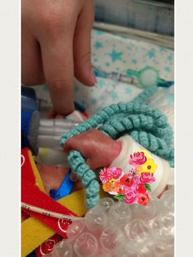 Octopus for a Preemie
