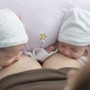 allattare-i-gemelli-questione-di-pratica