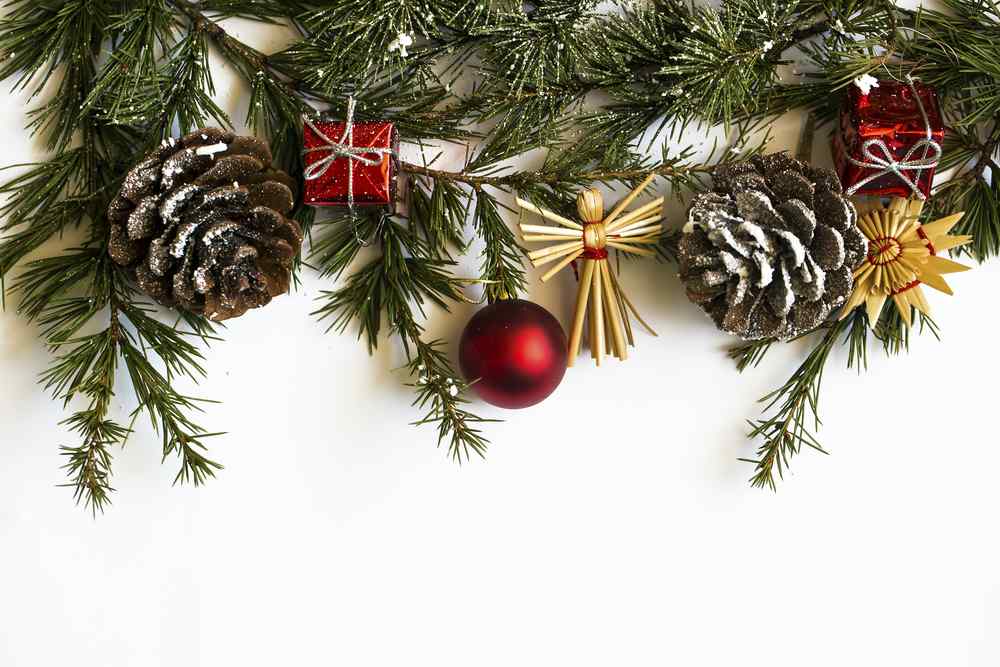 Pigne Per Albero Di Natale Pigne di cera per un albero di Natale colorato e low cost | Mamme.it