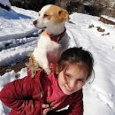 il-cagnolino-sta-male-bimba-turca-percorre-chilometri-nella-neve-per-portarlo-dal-veterinario