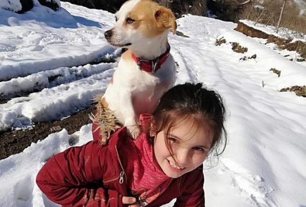 il-cagnolino-sta-male-bimba-turca-percorre-chilometri-nella-neve-per-portarlo-dal-veterinario