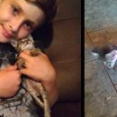 il-gattino-e-disabile-bimbo-di-9-anni-costruisce-un-carrellino-per-aiutarlo