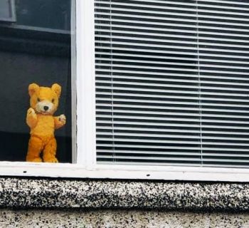 a-caccia-dell'orso-dalle-finestre-del-mondo:-l'iniziativa-virale