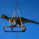 compra-un-dinosauro-giocattolo-per-il-figlio,-ma-il-modello-e-lungo-6-metri