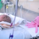 neonati-prematuri-la-polpoterapia-sbarca-al-gaslini