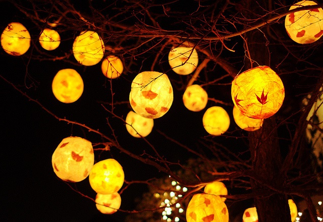 REDTRON 4 Bastoncini per Lanterne a LED, elettrici, 50 cm per San Martino, Lanterna di San Martino, Bambini, Bastone Elettrico per sfilate di Lanterne, sfilate di Martin, Stile Halloween 2